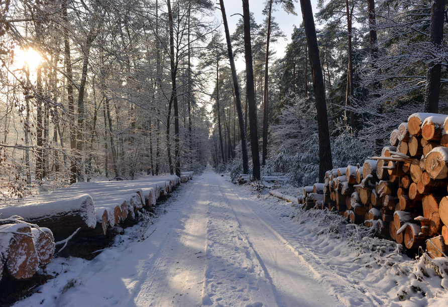 Die verschneiten Landschaften des Spessarts sind magisch anzusehen.