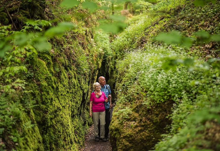 Bis zu 68 m hohe Felswände begleiten Ihren Weg durch die sagenhafte Drachenschlucht. Natur, die staunen lässt.