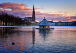 Spüren Sie die Ruhe des Winters bei einem Spaziergang entlang des Pfaffenteichs – ein Ort zum Innehalten mitten in Schwerin.