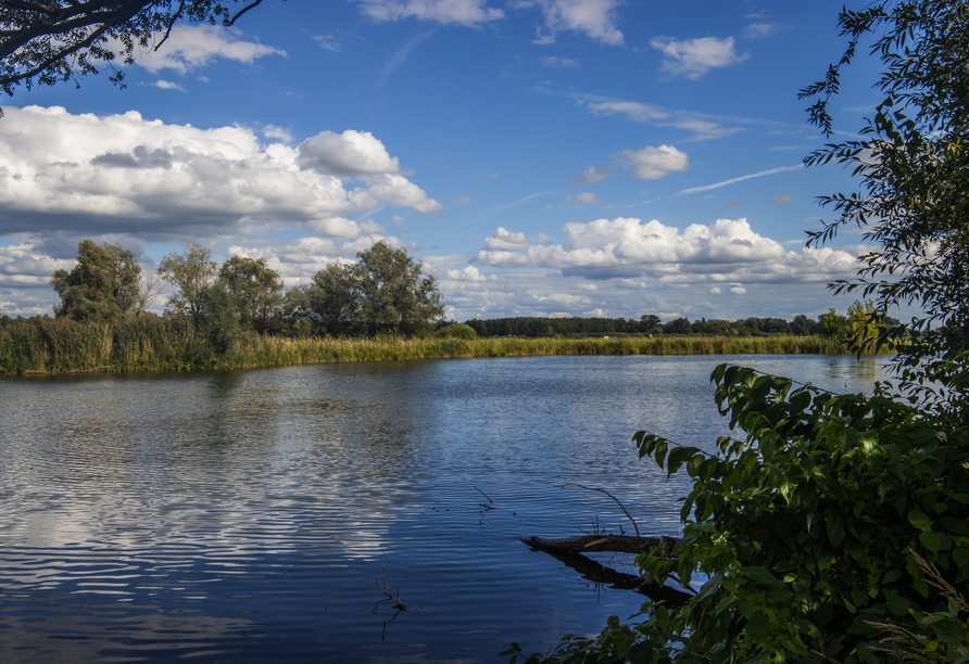 Blick auf den Beetzsee