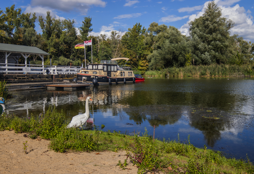 Blick auf den See mit Bootsanleger