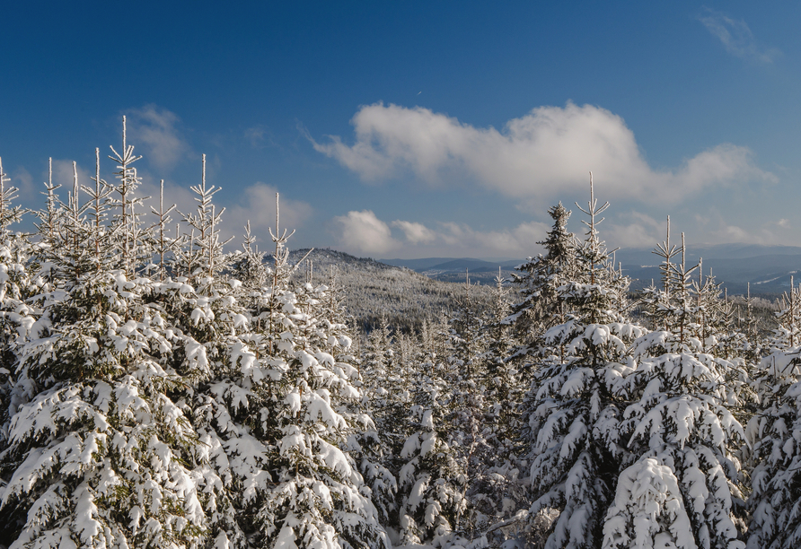 Der Nationalpark Šumava im winterlichen Glanz