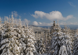Der Nationalpark Šumava im winterlichen Glanz