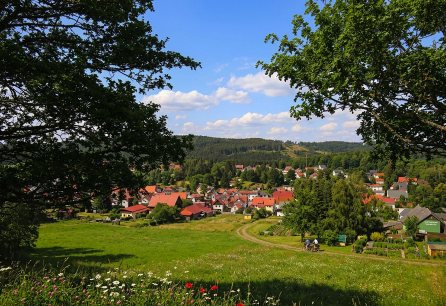 Diesen Ausblick genießen Sie im Ferien Hotel Rennsteigblick.
