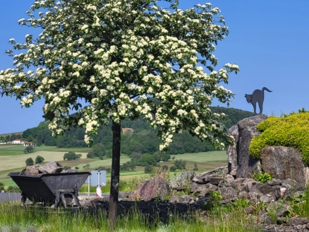 Blick auf den Katzenbuckel im Naturpark Neckertal-Odenwald
