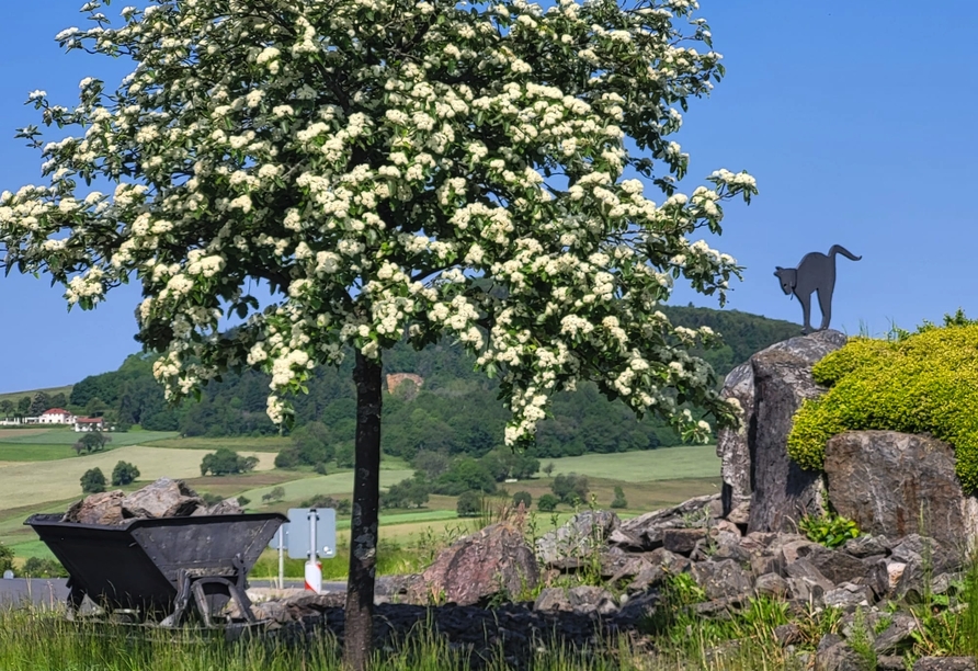 Blick auf den Katzenbuckel im Naturpark Neckertal-Odenwald