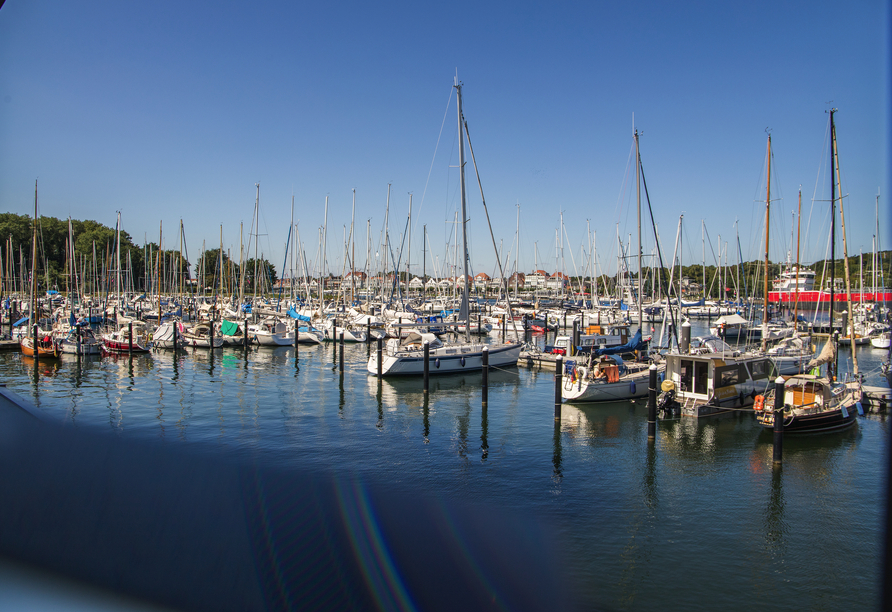 Am Hafen können Sie die vielen Segelschiffe bestaunen.