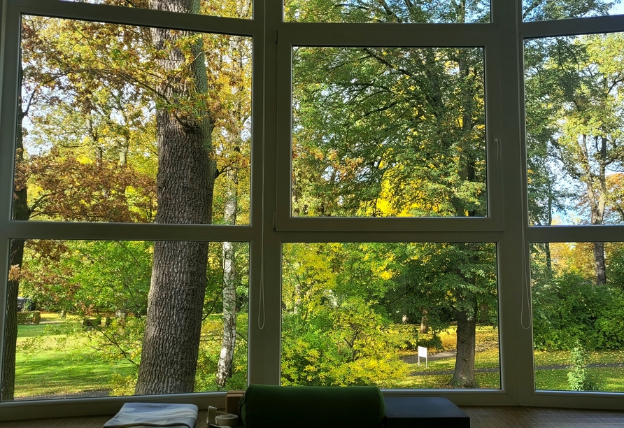 Nehmen Sie an achtsamen Yogakursen teil.