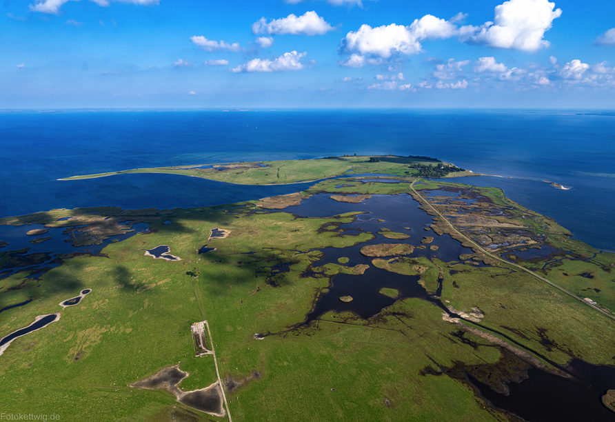 Auf Usedom erwartet Sie eine einzigartige Küstenlandschaft.
