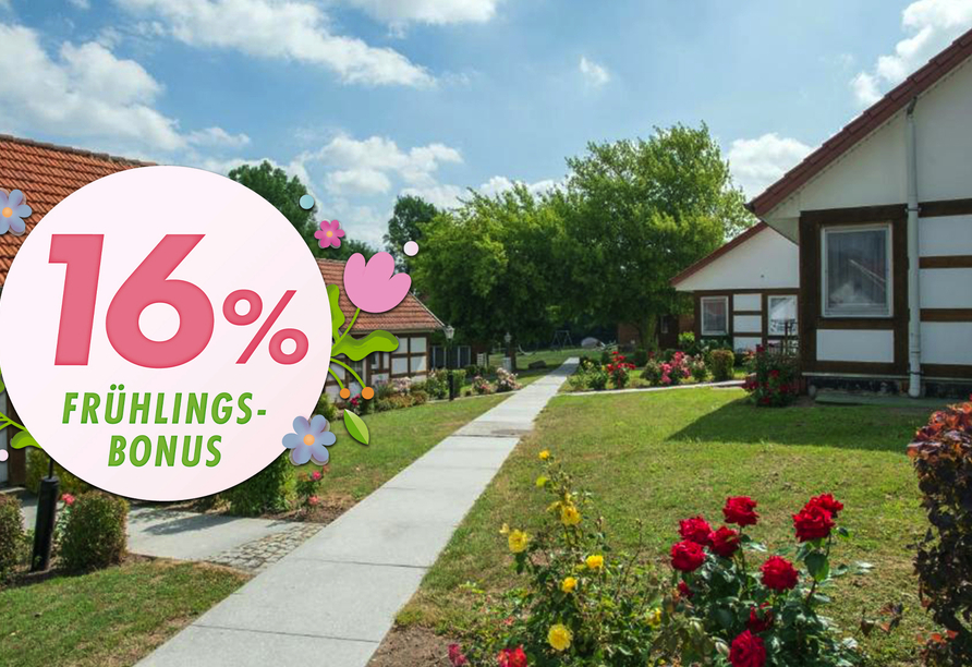 Willkommen im Alcor Hotel Feriendorf an der Ostsee!