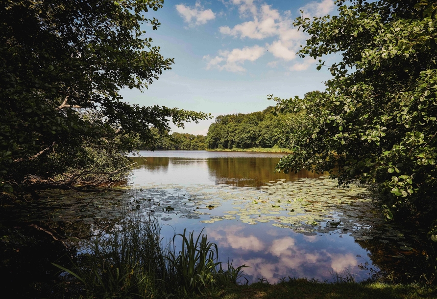 Der Mühlenteich befindet sich direkt vor dem Hotel und bietet eine tolle Möglichkeit für Spaziergänge um den Teich herum.