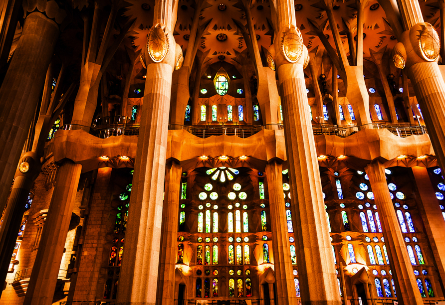 Bestaunen Sie die Sagrada Familia von Innen.