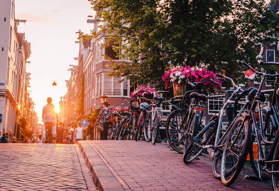 Fahrräder sind eines der besten Fortbewegungsmittel in Holland und Belgien. Freuen Sie sich auf gut ausgebaute Radwege.