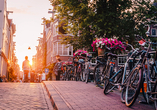 Fahrräder sind eines der besten Fortbewegungsmittel in Holland und Belgien. Freuen Sie sich auf gut ausgebaute Radwege.