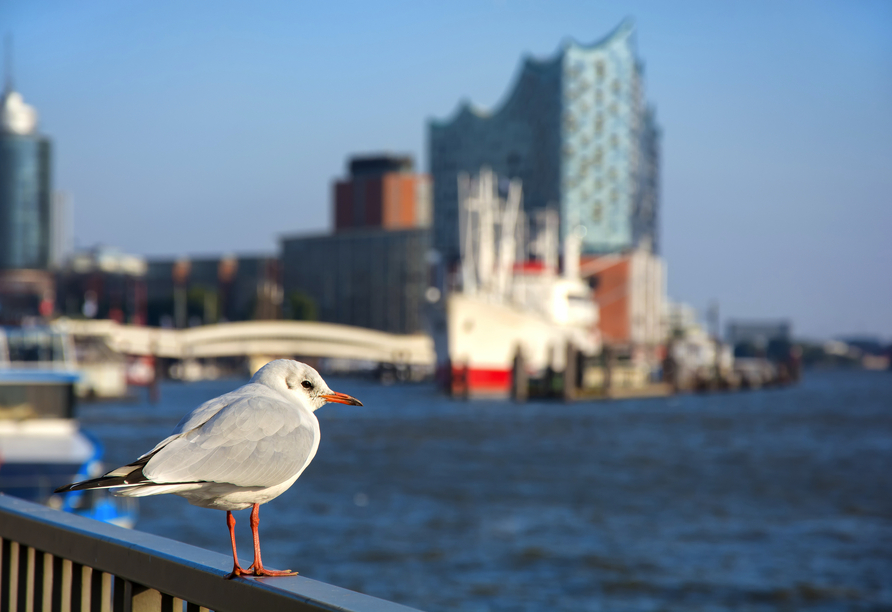 Ihre Reise beginnt und endet im Hamburger Hafen.