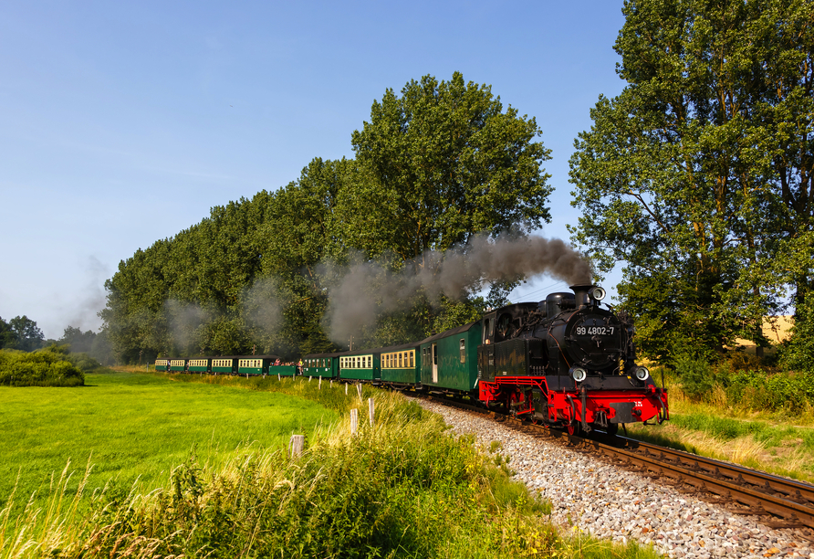 Buchen Sie den Ausflug Süd-Rügen und freuen Sie sich auf eine Fahrt mit dem Rasenden Roland.
