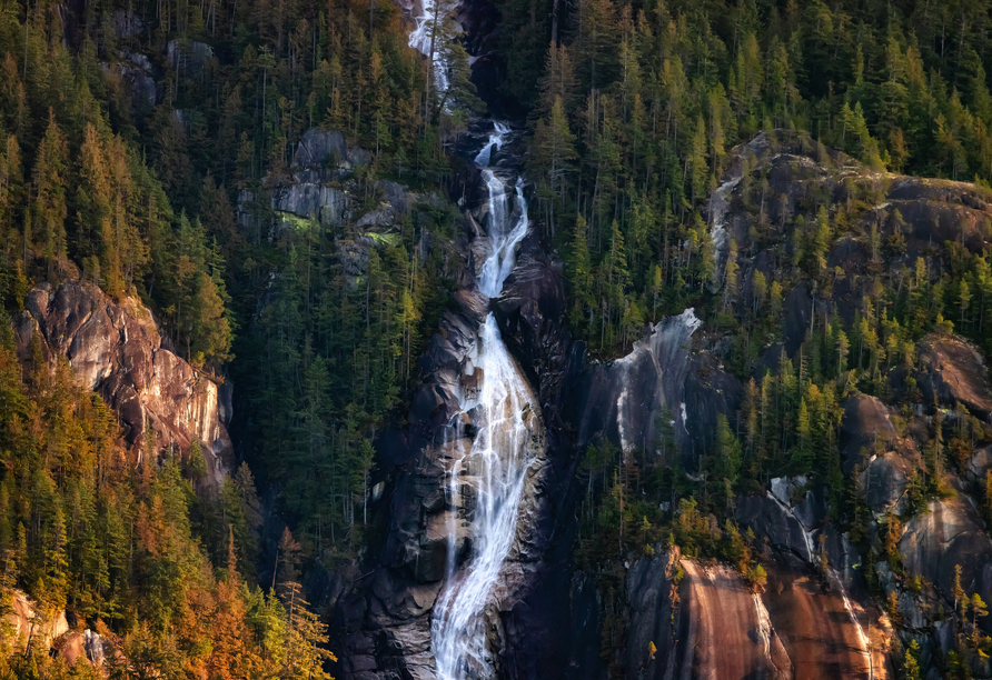 Lassen Sie sich von den Shannon Wasserfällen verzaubern.