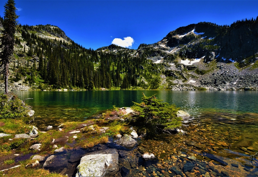 Auch der Mount Revelstoke National Park steht auf Ihrem Reiseprogramm.
