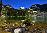Auch der Mount Revelstoke National Park steht auf Ihrem Reiseprogramm.