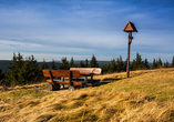 Panoramablicke am Schneekopf