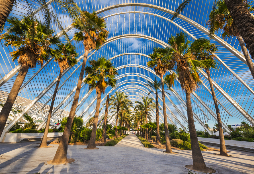 Der moderne Palmenpark L’Umbracle in Valencia verbindet moderne Architektur mit mediterranem Palmenflair.