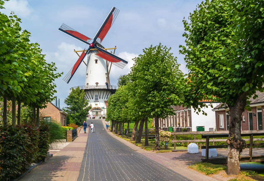 Blick auf die königliche Windmühle 