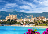 Strand, Sonne und Meer warten auf Sie in Mallorca!