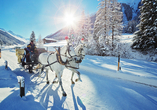 Freuen Sie sich auf winterliche Erlebnisse wie Skifahren und Kutschfahrten in der Umgebung.