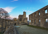 Historische Burgruinen erzählen von vergangenen Zeiten in malerischer Landschaft.