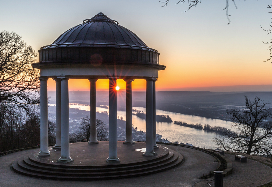 Entdecken Sie das winterliche Rüdesheim am Rhein mit seinen herrlichen Ausblicken.