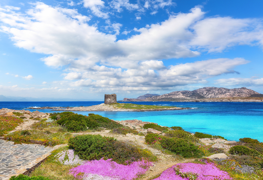 Der Strand La Pelosa ist berühmt für das kristallklare, türkisblaue Wasser, das an eine tropische Lagune erinnert.