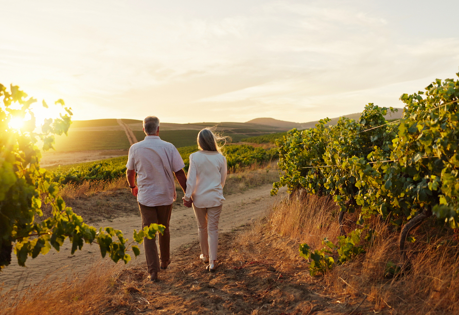 Spazieren Sie durch die traumhaften Weinberge und spüren Sie die Weinromantik.