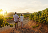Spazieren Sie durch die traumhaften Weinberge und spüren Sie die Weinromantik.