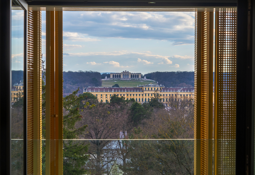 Genießen Sie den Blick auf das Schloss Schönbrunn.