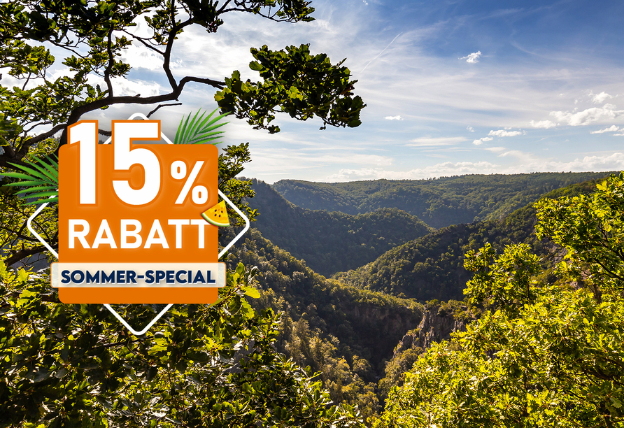 Das Bodetal bei Thale im Harz wird Sie im Urlaub begeistern!