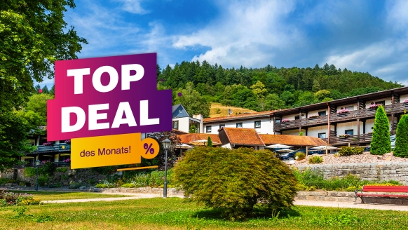 TOP-DEAL des Monats nur bei Buchung bis 09.06.26: 15 % Ermäßigung auf alle Termine 2026!