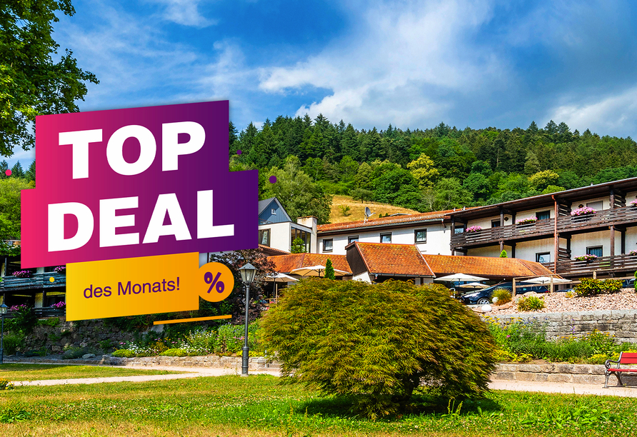 TOP-DEAL des Monats nur bei Buchung bis 09.06.26: 15 % Ermäßigung auf alle Termine 2026!