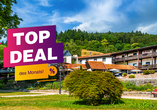 TOP-DEAL des Monats nur bei Buchung bis 09.06.26: 15 % Ermäßigung auf alle Termine 2026!