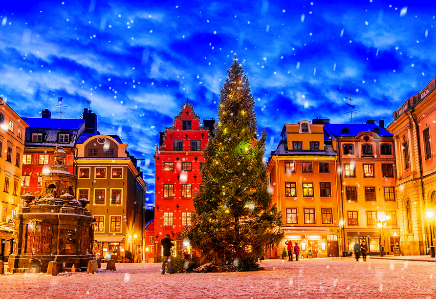 Die weihnachtlich geschmückte Altstadt „Gamla Stan