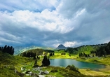 Naturparadies Warth-Schröcken