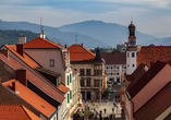 Besuchen Sie Leoben, die zweitgrößte Stadt der Steiermark, nur wenige Kilomenter entfernt.