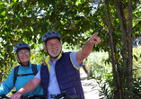 Entdecken Sie die schönsten Radwege entlang der malerischen Flusslandschaften von Rhein und Mosel.