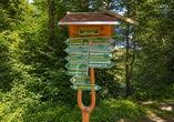 In der Umgebung des Hotels erwarten Sie zahlreiche Wege für entspannte Wanderungen.