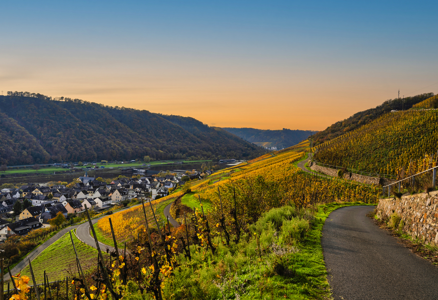 Genießen Sie stimmungsvolle Herbstmomente in der Mosellandschaft in Treis-Karden