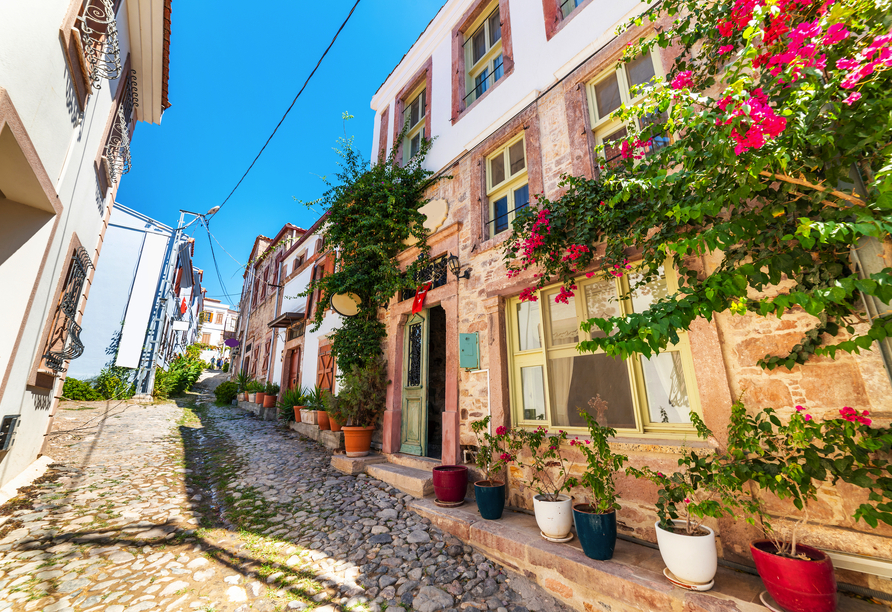 Spazieren Sie durch die Gassen von Cunda und entdecken Sie historische Häuser, blühende Pflanzen und mediterranes Flair.