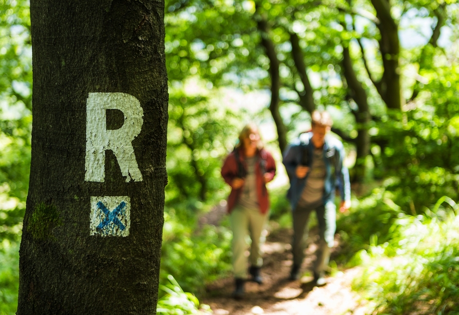 Der Rennsteig begeistert mit herrlichen Wanderwegen und schönen Ausblicken.