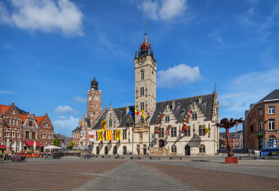 Bewundern Sie das historische Rathaus in der Altstadt von Dendermonde.