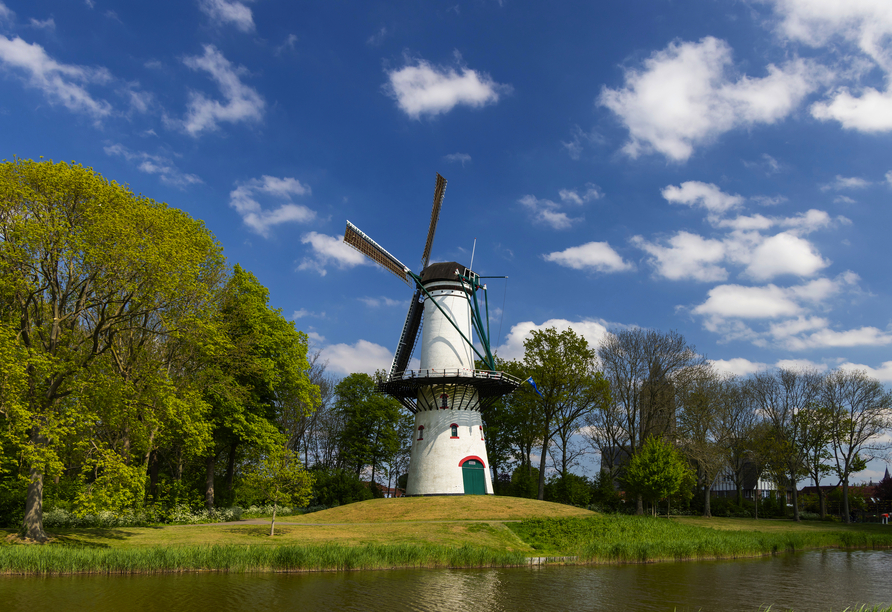 Windmühle in Tholen