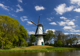 Windmühle in Tholen