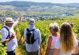 Nehmen Sie an einer Weinwanderung teil.